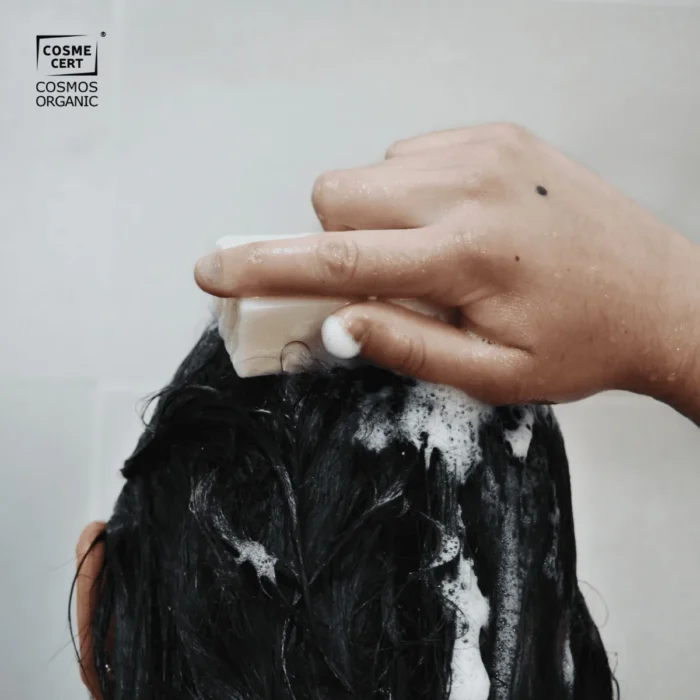 shampoing solide bio & naturel