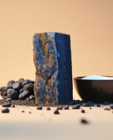 Savon Lait de Chevre Charbon Actif Bio Surgras