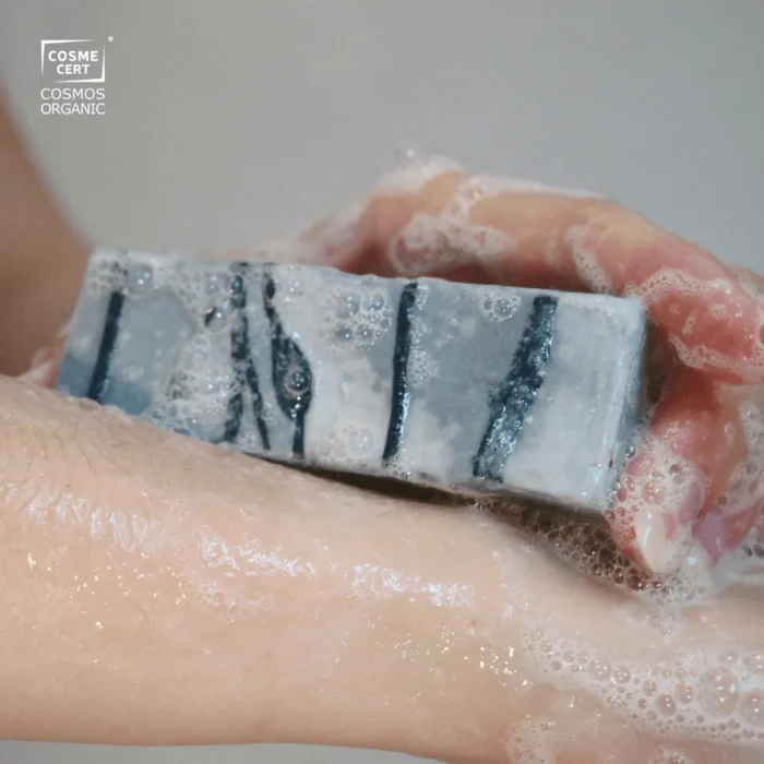 Savon Surgras Bio Charbon Actif