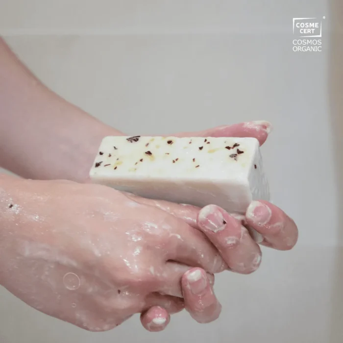 Savon Surgras Bio Menthe