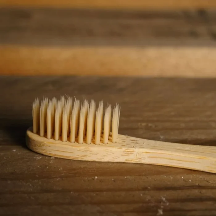 brosse à dent en bois
