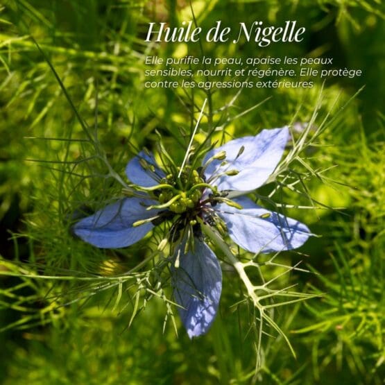 huile de nigelle