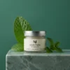 dentifrice menthe SAJ