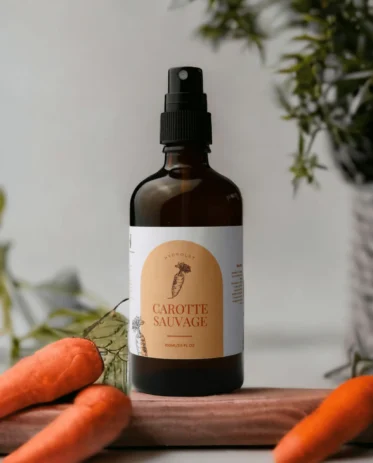 hydrolat de carotte sauvage