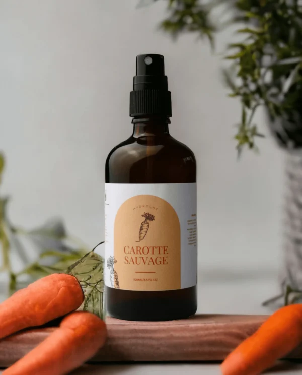 hydrolat de carotte sauvage