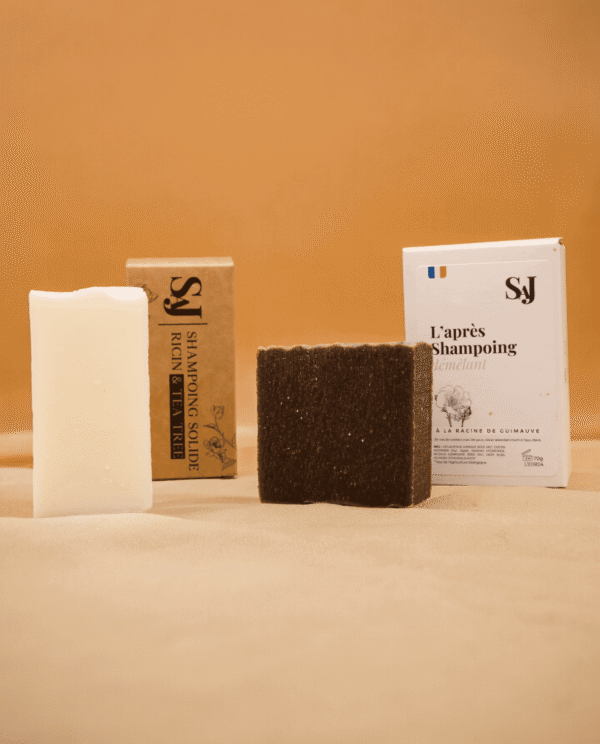 Pack Cheveux Gras