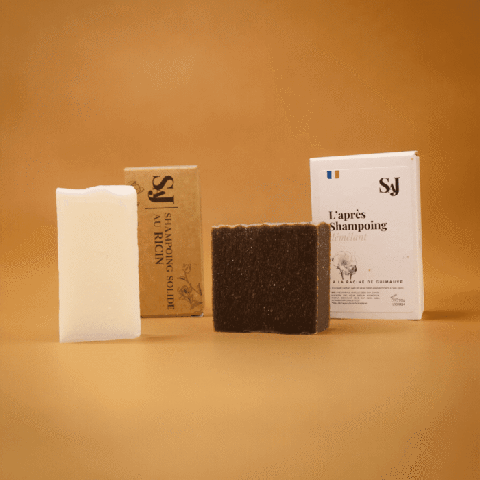 Duo Cheveux Secs | Shampoing & Après-Shampoing 1 Pack Cheveux Secs