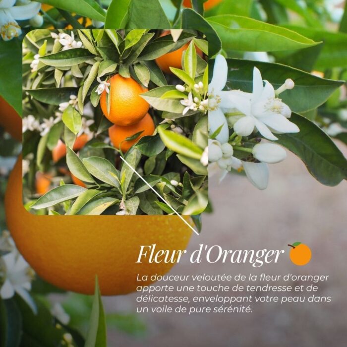 Savon Surgras "Charlotte" | Bergamote, Fleur d'Oranger, Jasmin, Musc & Patchouli – Image 4