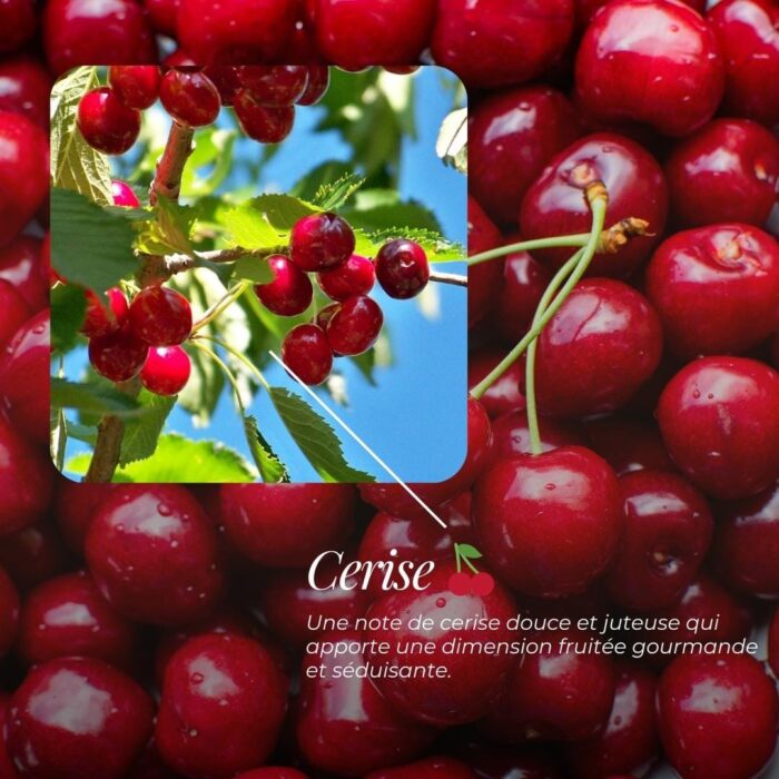 Savon Surgras "Lison" | Cerise, Fruitée, Boisée & Vanille 3 Savon Surgras "Lison" | Cerise, Fruitée, Boisée & Vanille – Image 3