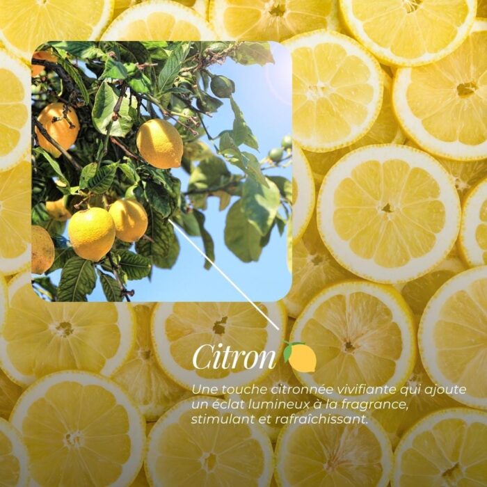 Savon Surgras "Lison" | Cerise, Fruitée, Boisée & Vanille 4 Savon Surgras "Lison" | Cerise, Fruitée, Boisée & Vanille – Image 4