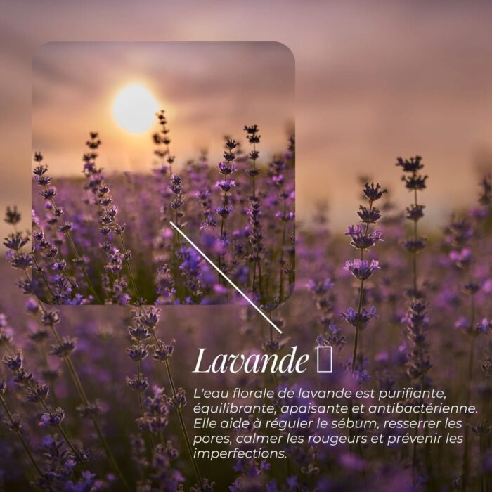 Eau Florale de Lavande - Apaisante & Purifiante – Image 2
